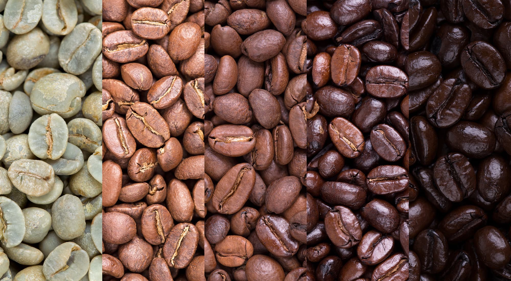 Darstellung von Kaffeebohnen von grün bis dunkel geröstet in fünf Stufen nebeneinander.