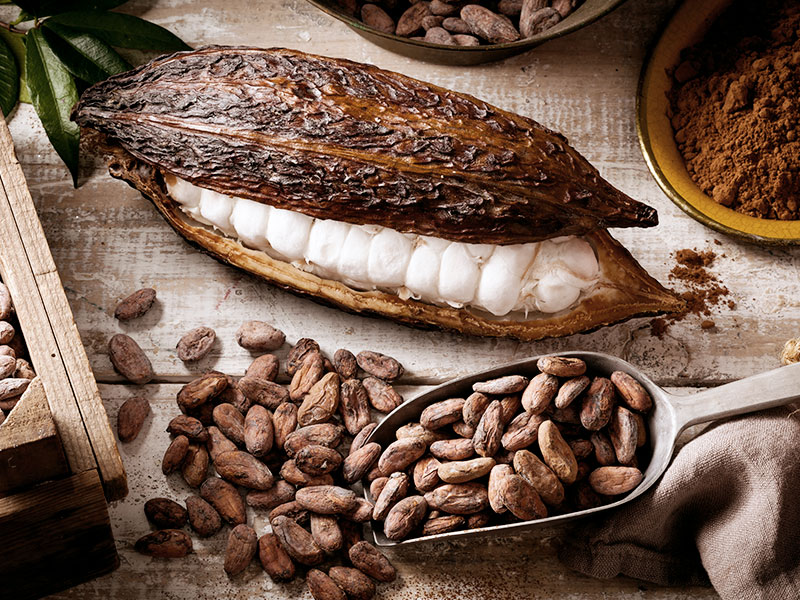 Geöffnete Kakaoschote mit weißen Fruchtteilen und getrockneten Kakaobohnen auf Holztisch.