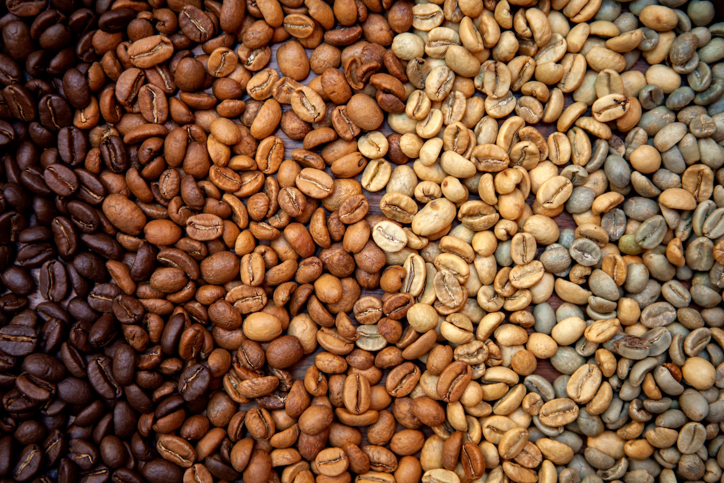 Schale mit Kaffeepeeling, Kaffeebohnen und grünen Blaettern auf grauer Steinoberflaeche.